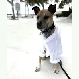 Boca Terry Dog Bathrobe - Large