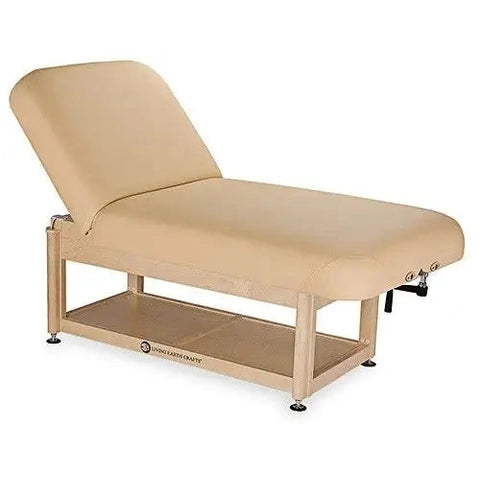 Living Earth Crafts Napa Power Assist Pneumatic Facial Back Tilt with Shelf