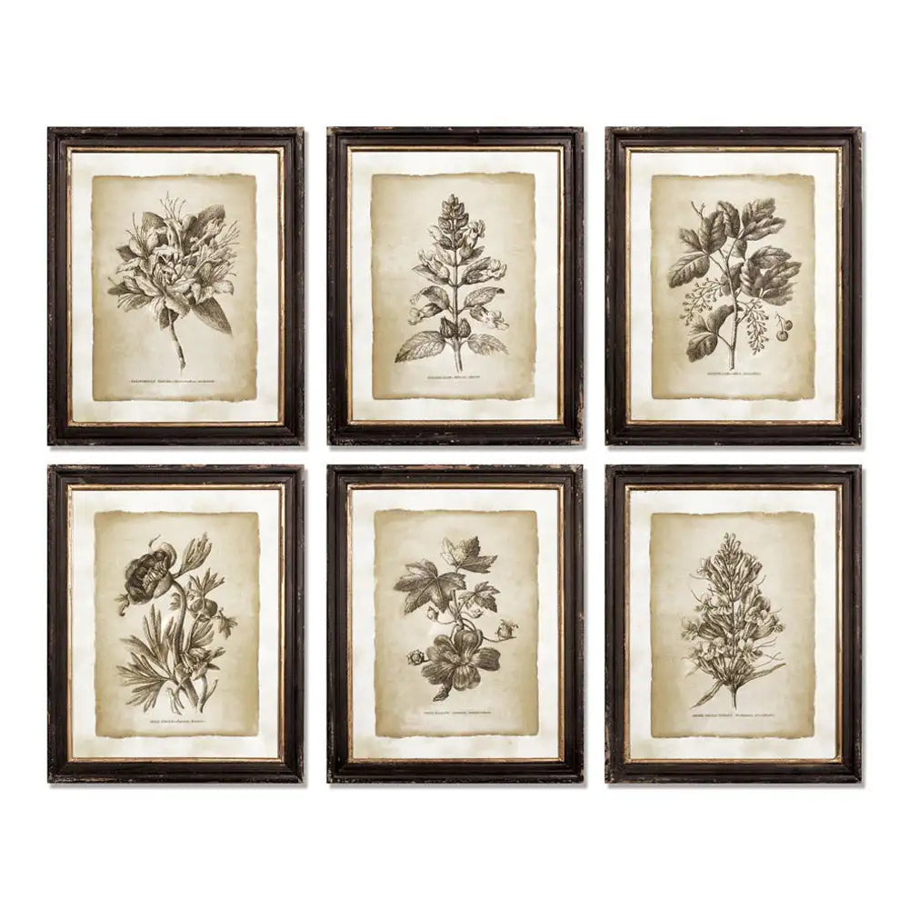 FRAMED VINTAGE FLORAL PRINTS, SET OF 6