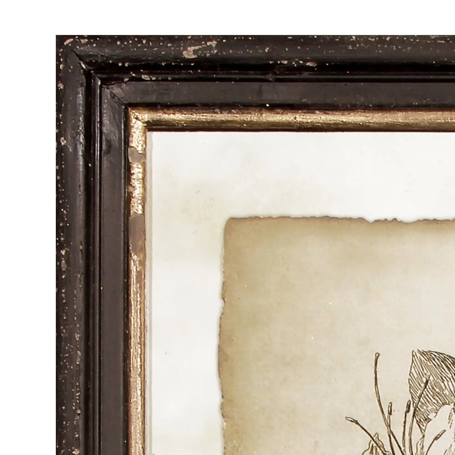 FRAMED VINTAGE FLORAL PRINTS, SET OF 6 - view 3