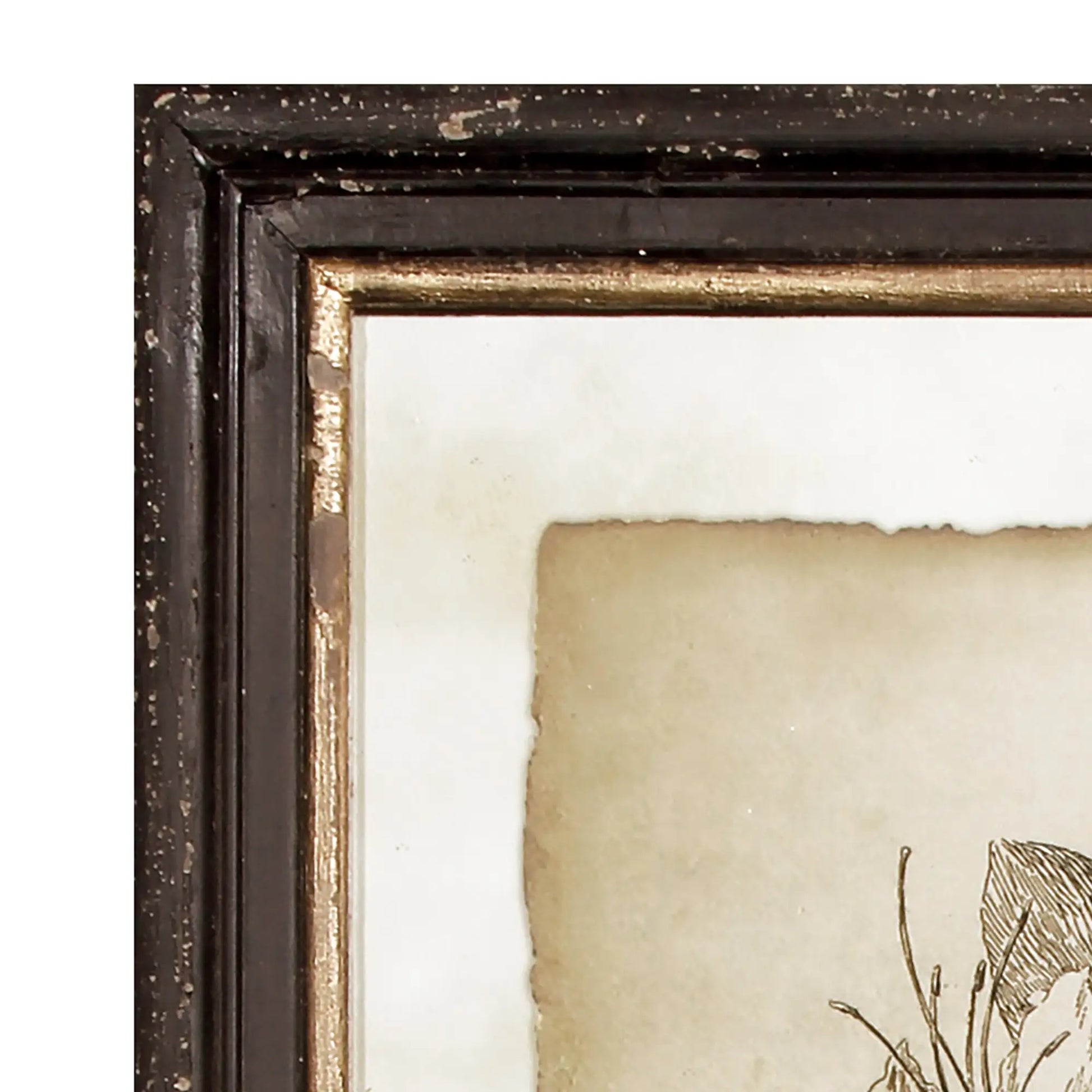 FRAMED VINTAGE FLORAL PRINTS, SET OF 6 - view 3