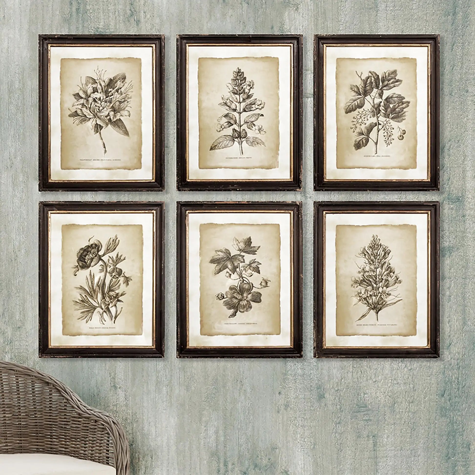 FRAMED VINTAGE FLORAL PRINTS, SET OF 6 - view 4