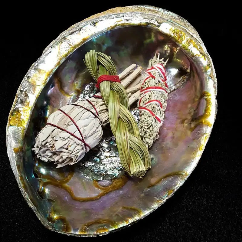 Abalone Shell