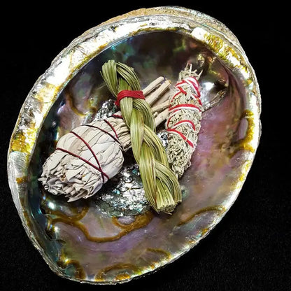Abalone Shell