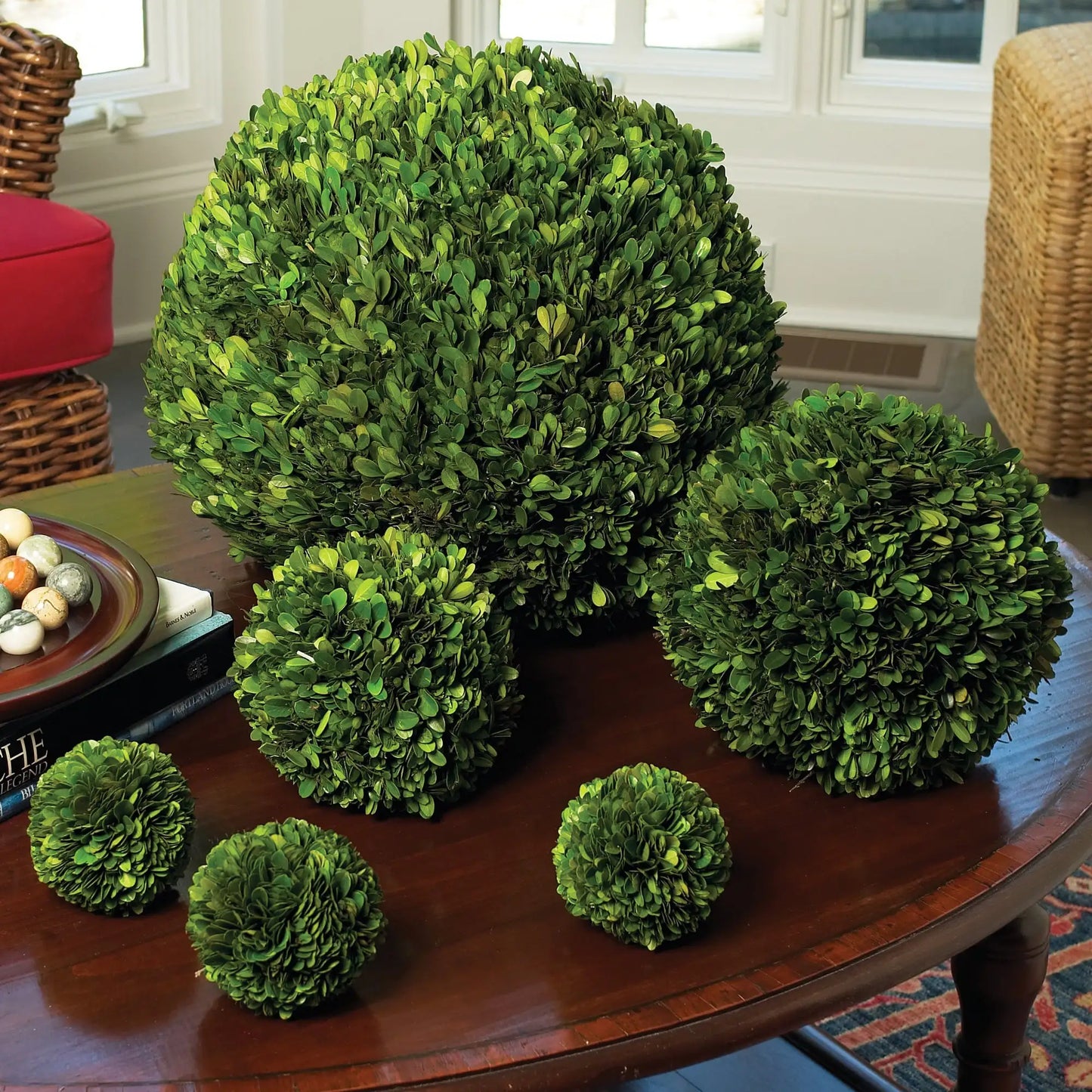 BOXWOOD BALL 16" - view 2