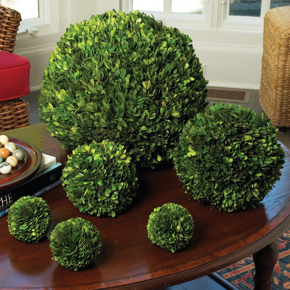 BOXWOOD BALL 16" - view 2