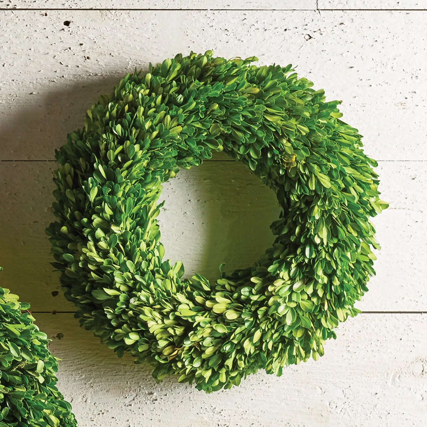 BOXWOOD WREATH 16" - view 2