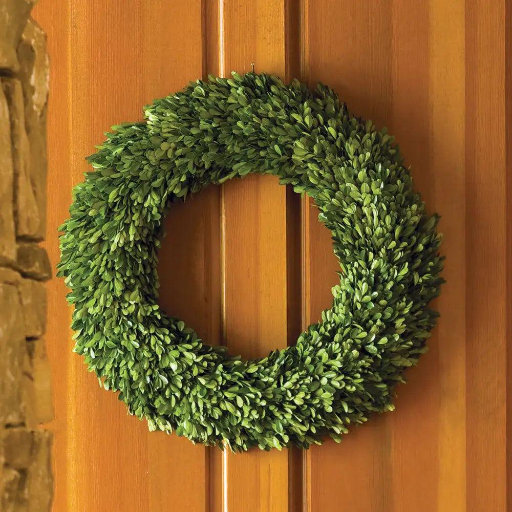 BOXWOOD WREATH 24" - view 2