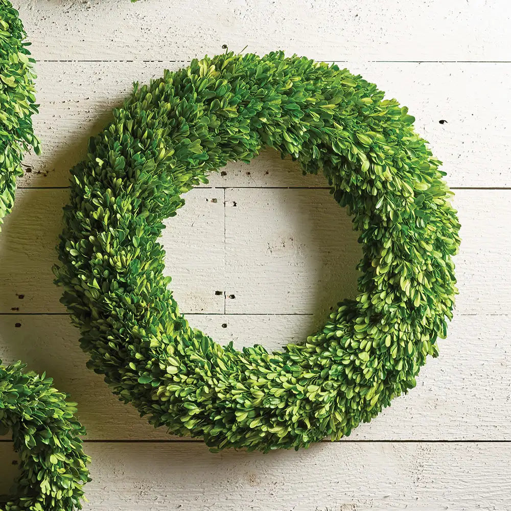 BOXWOOD WREATH 24" - view 3