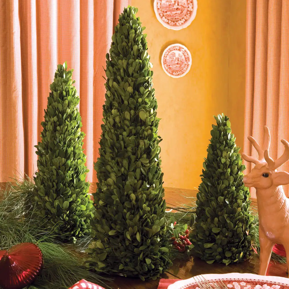 BOXWOOD MINI TREES, SET OF 3 - view 2