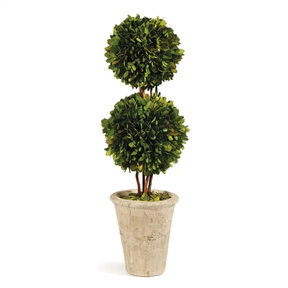 BOXWOOD DOUBLE SPHERE TOPIARY 20"