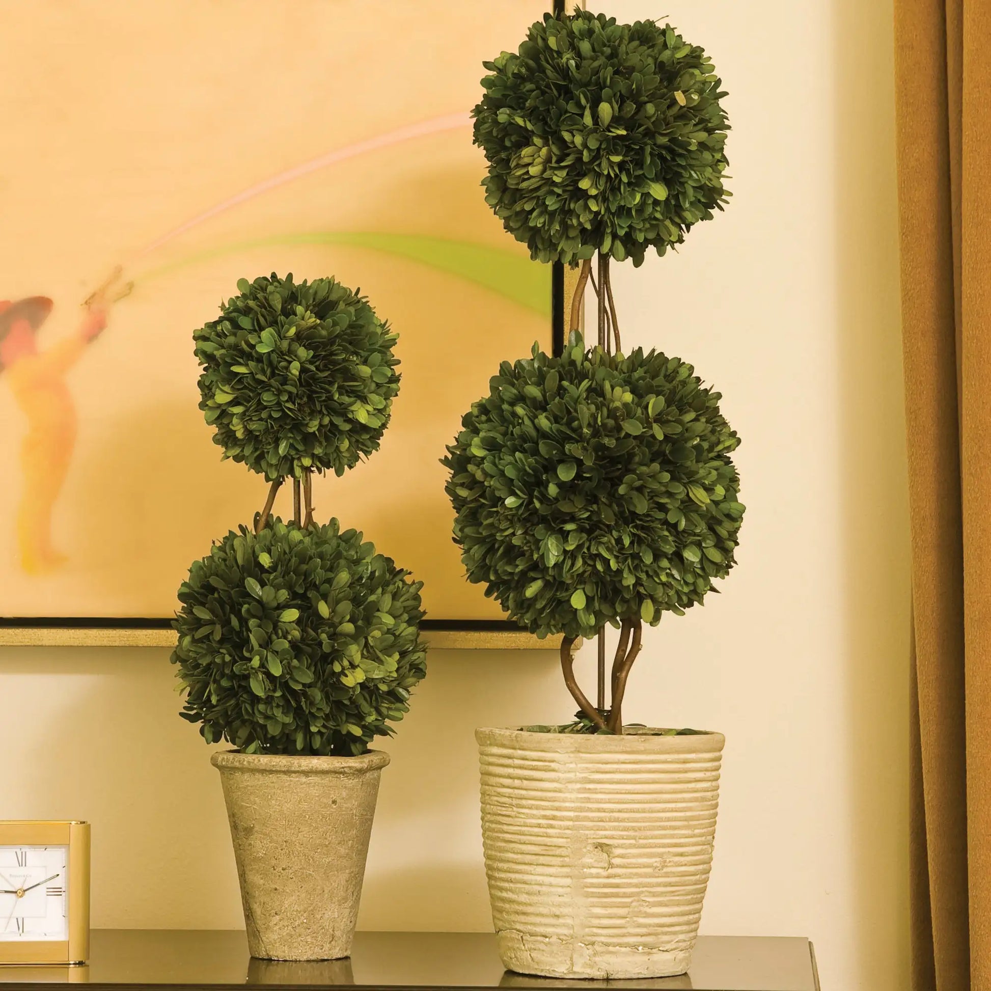 BOXWOOD DOUBLE SPHERE TOPIARY 20" - view 2