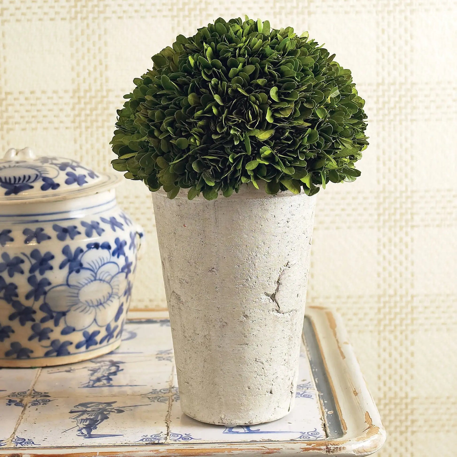 BOXWOOD THREE-QUARTER BALL IN POT - view 2