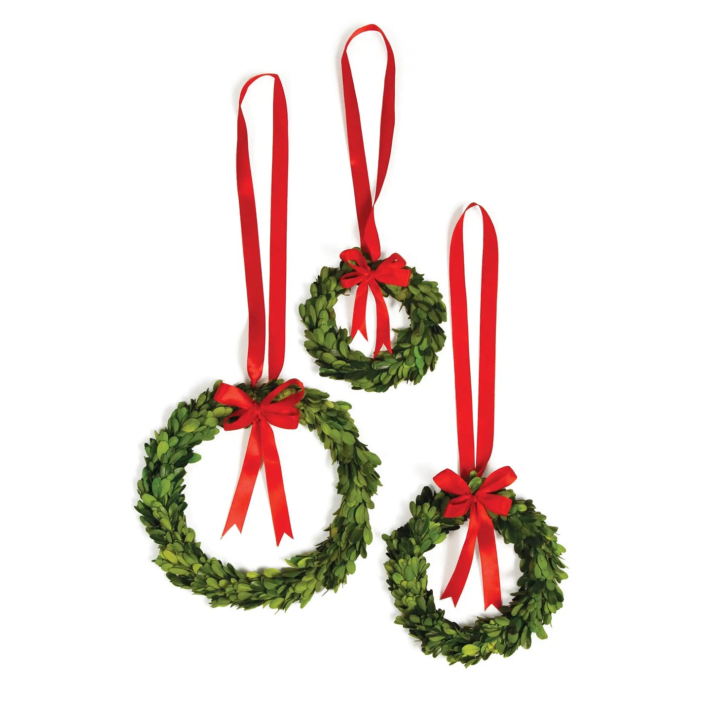 BOXWOOD WREATHS WITH RED RIBBONS, SET OF 3