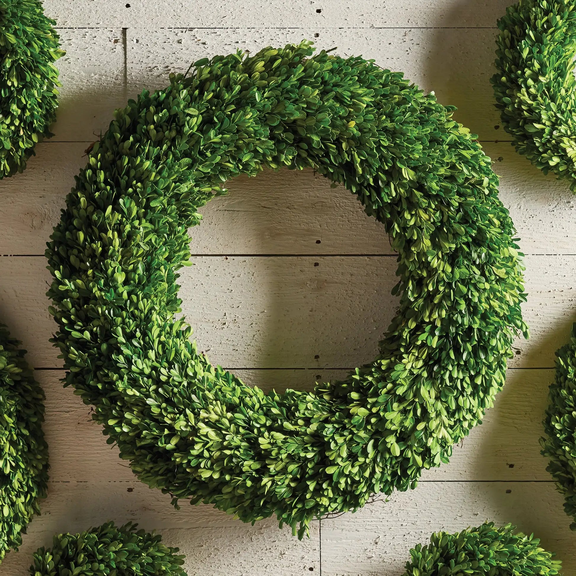 BOXWOOD WREATH 30" - view 3