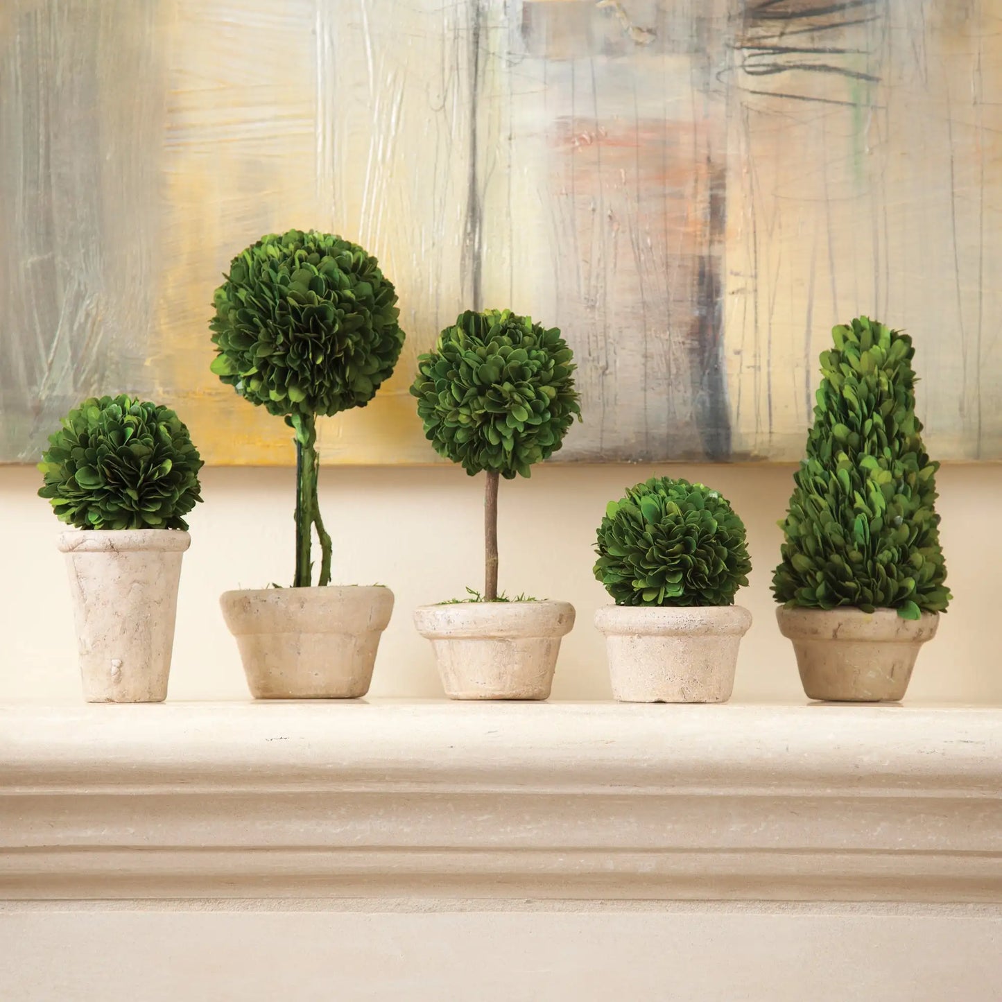 BOXWOOD TOPIARIES IN POTS, SET OF 5 - view 2