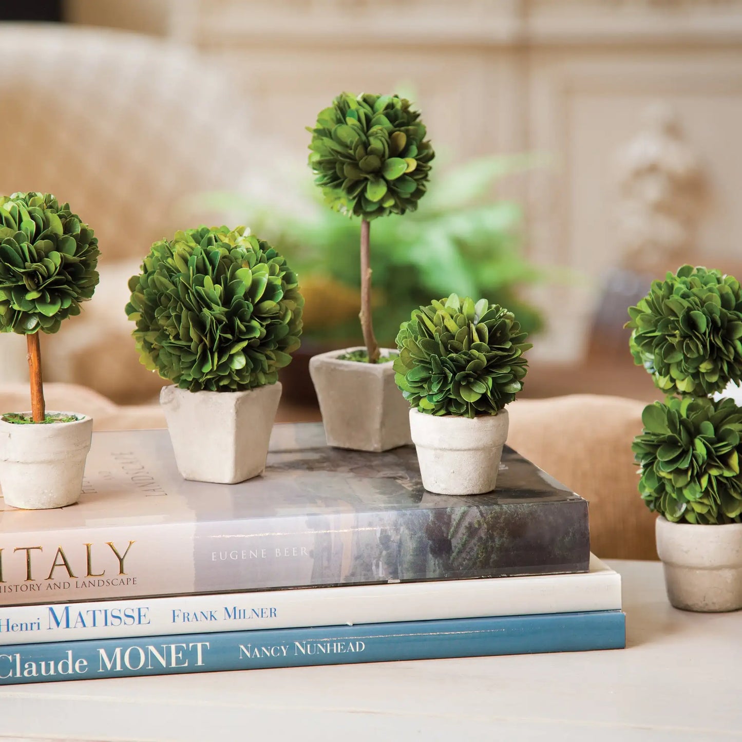 BOXWOOD MINI TOPIARIES IN POTS, SET OF 5 - view 2