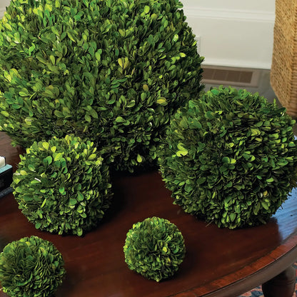BOXWOOD BALL 12" - view 4