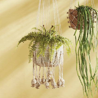 BOSTON FERN DROP-IN 16" - view 2