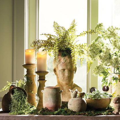 BOSTON FERN DROP-IN 16" - view 5