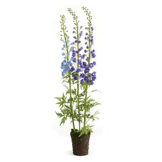 DELPHINIUM DROP-IN 53"