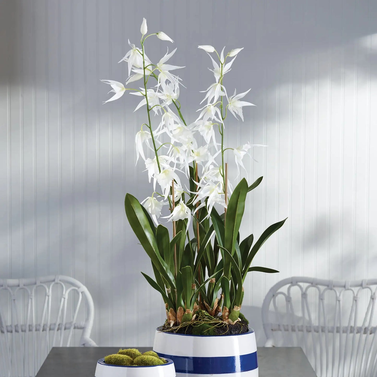 SPIDER ORCHID DROP-IN 44" - view 2