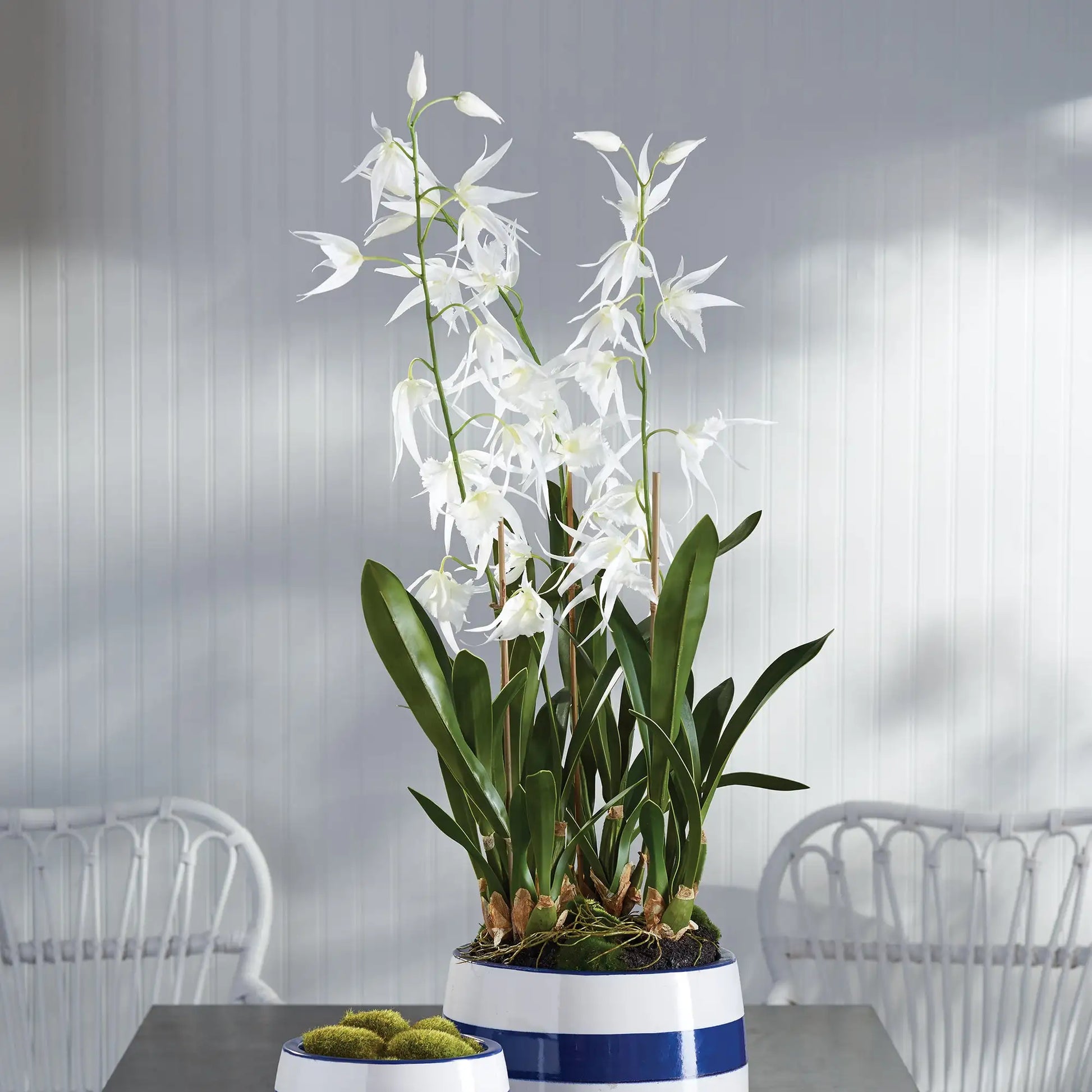 SPIDER ORCHID DROP-IN 44" - view 2