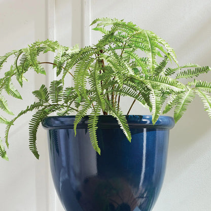 FOREST FERN DROP-IN 29.5" - view 2