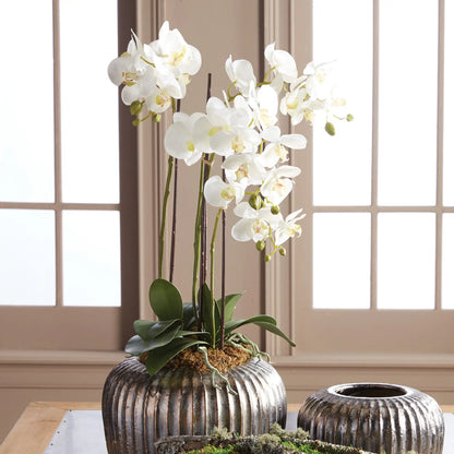 PHALAENOPSIS ORCHID DROP-IN 30" - view 4