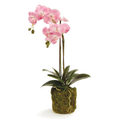PHALAENOPSIS ORCHID DROP-IN 23"