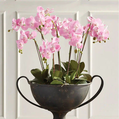 PHALAENOPSIS ORCHID DROP-IN 30" - view 2