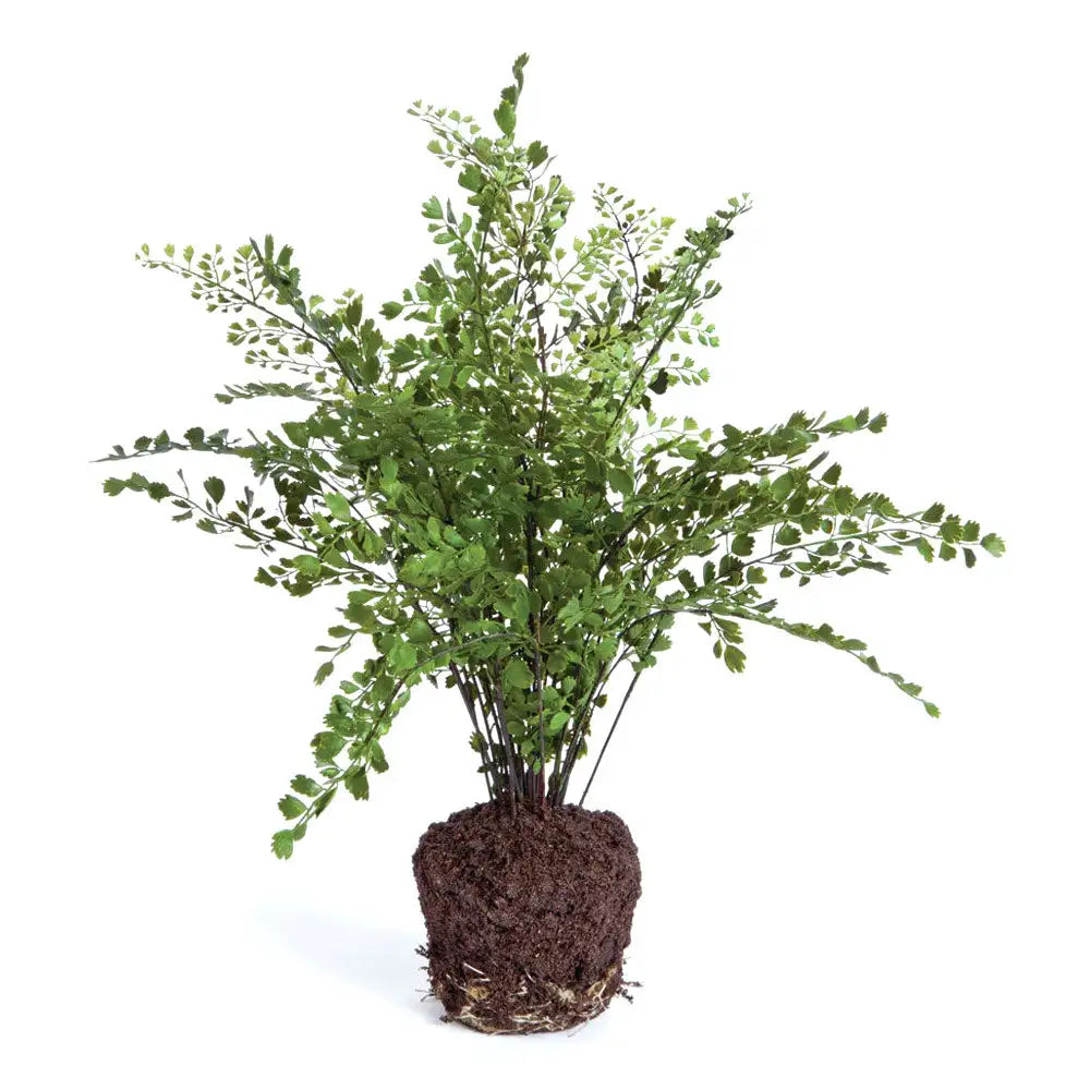 MAIDENHAIR DROP-IN 18"