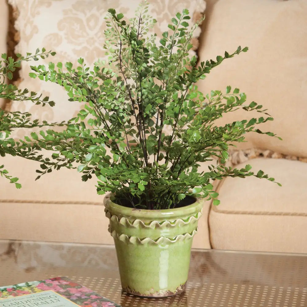 MAIDENHAIR DROP-IN 18" - view 2