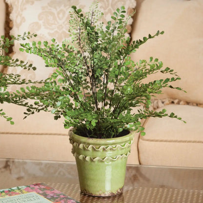 MAIDENHAIR DROP-IN 18" - view 2