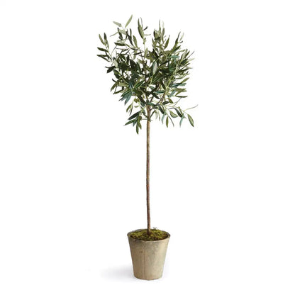 OLIVE TREE POTTED 46"