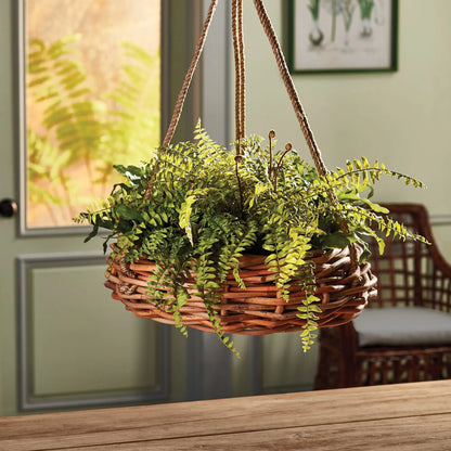 BOSTON FERN RUSTIC DROP-IN 12" - view 3