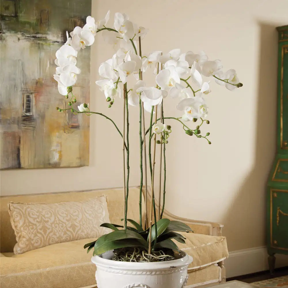 PHALAENOPSIS ORCHID DROP-IN 44" - view 2
