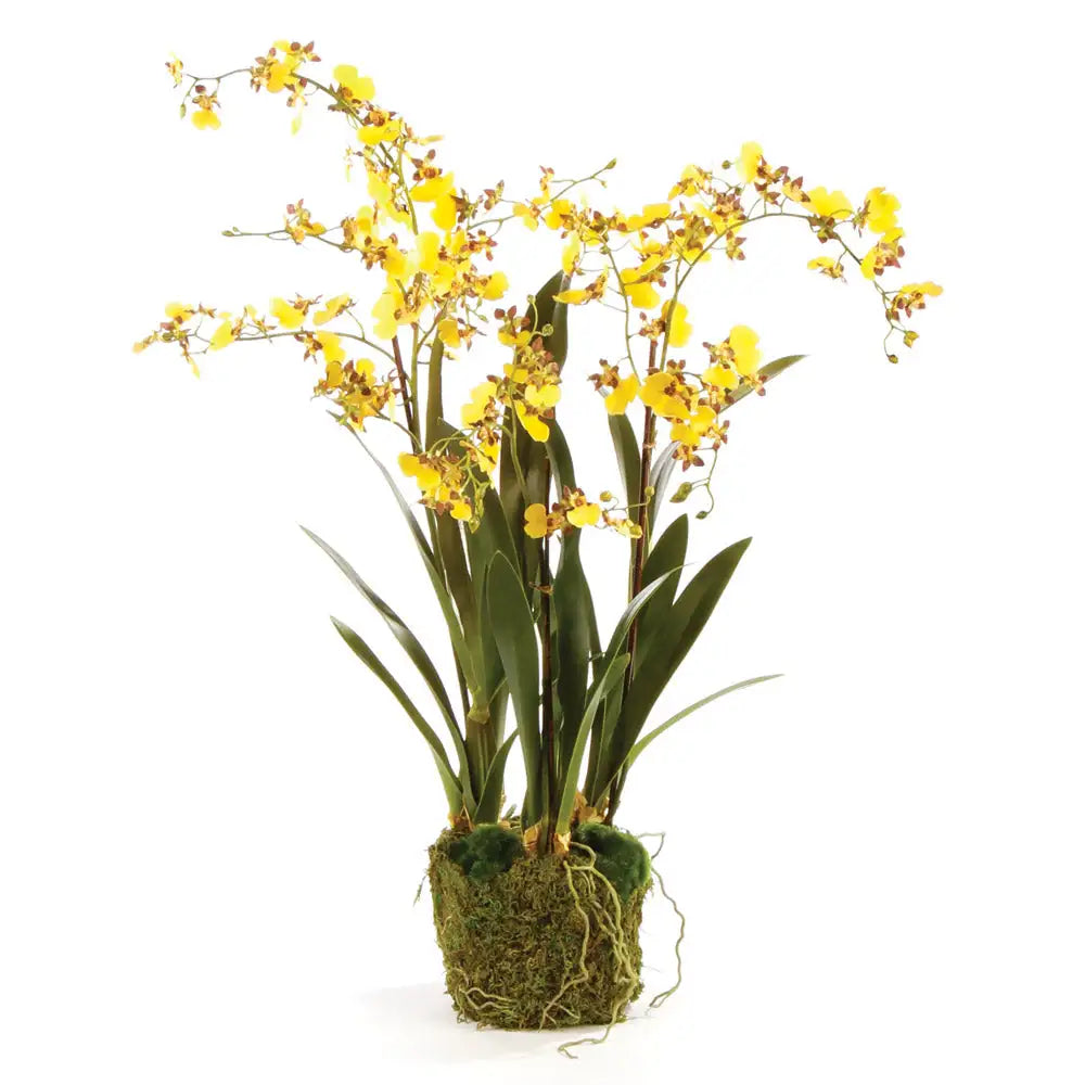DANCING ORCHID DROP-IN 32"