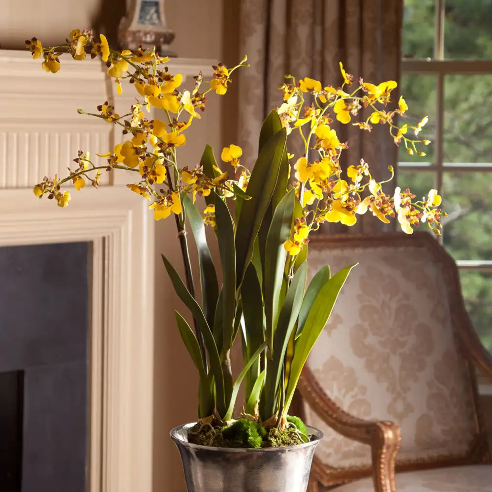DANCING ORCHID DROP-IN 32" - view 2