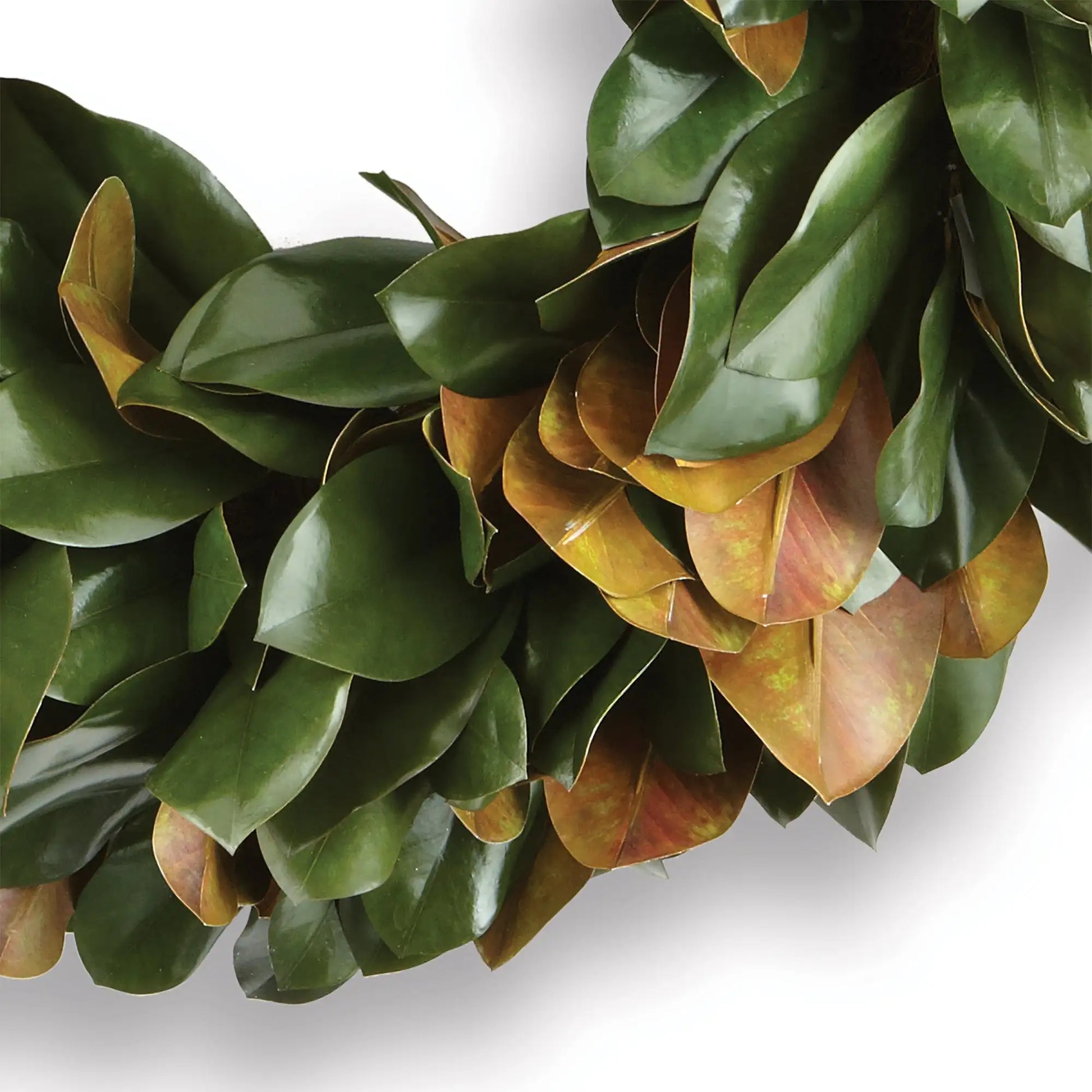 GRAND MAGNOLIA LEAF WREATH 30" - view 2