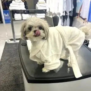 Boca Terry Dog Bathrobe - Small