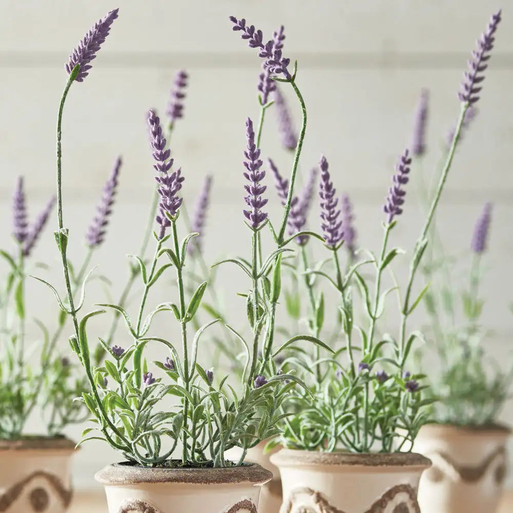 FRENCH LAVENDER DROP-IN 13", SET OF 6 - view 2