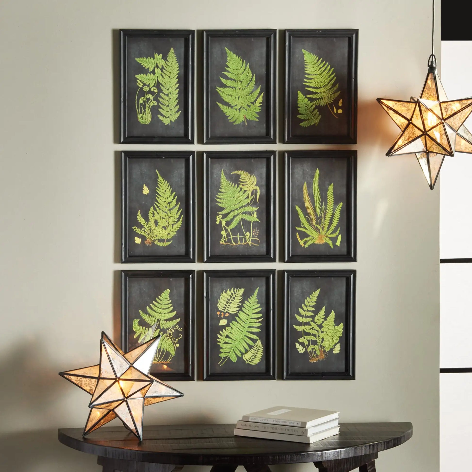 FRAMED FERN BOTANICAL PRINTS, SET OF 9 - view 3