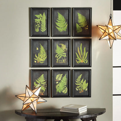 FRAMED FERN BOTANICAL PRINTS, SET OF 9 - view 3