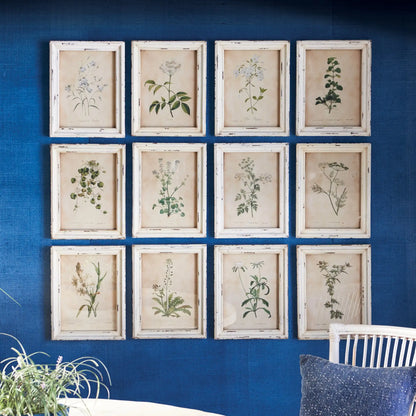 FRAMED WILD FLOWER BOTANICAL PRINTS, SET OF 12 - view 3