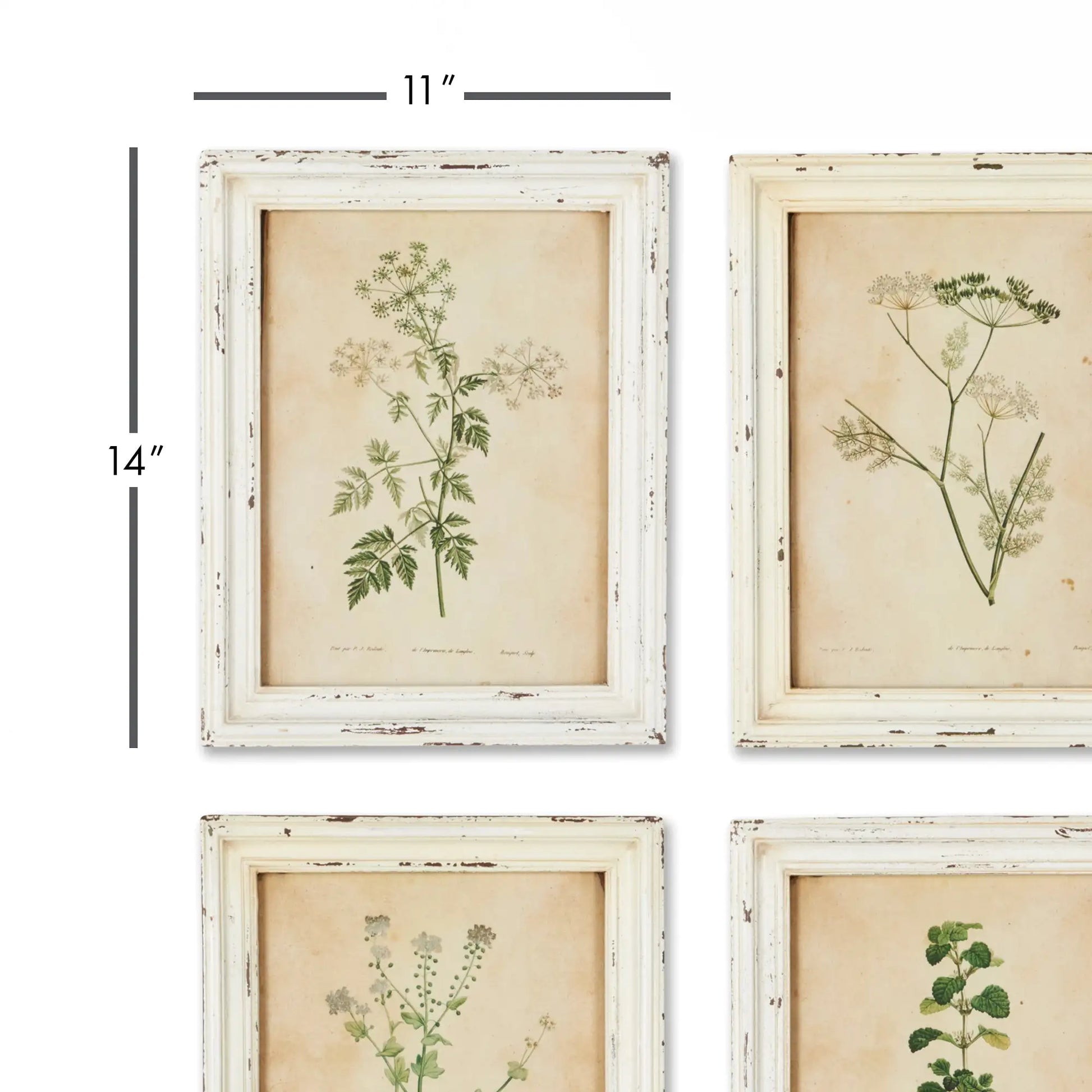 FRAMED WILD FLOWER BOTANICAL PRINTS, SET OF 12 - view 2
