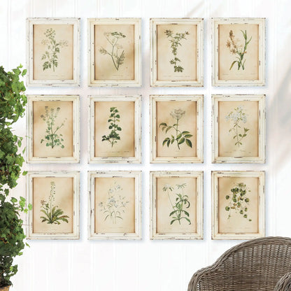 FRAMED WILD FLOWER BOTANICAL PRINTS, SET OF 12 - view 4