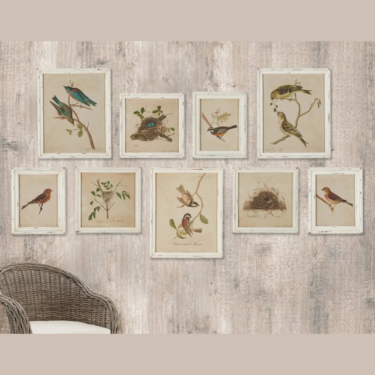 FRAMED AVIARY BIRD & NEST HABITAT PRINTS, SET OF 9 - view 4