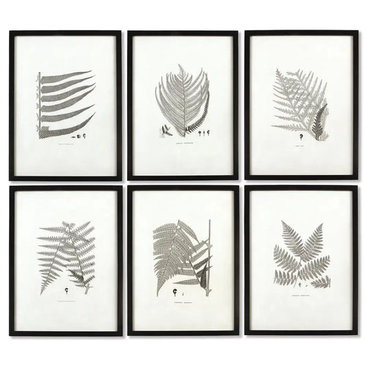 FRAMED GRAY-TONE FERN PRINTS, SET OF 6