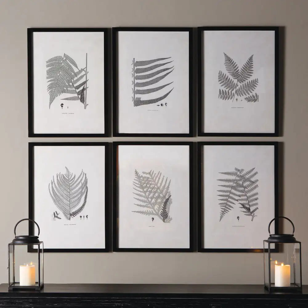 FRAMED GRAY-TONE FERN PRINTS, SET OF 6 - view 3